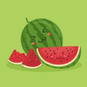 Unit 20: These are watermelons.