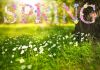 Những câu thành ngữ tiếng Anh liên quan đến mùa xuân