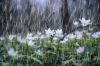 Những từ vựng tiếng Anh về mưa thường dùng nhất