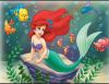 Phim hoạt hình tiếng Anh: The little mermaid