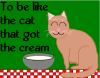Thành ngữ tiếng Anh liên quan đến mèo cực kỳ thú vị