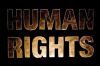 Tổng hợp những từ vựng tiếng Anh về nhân quyền